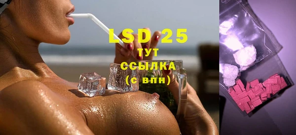 стаф Зерноград