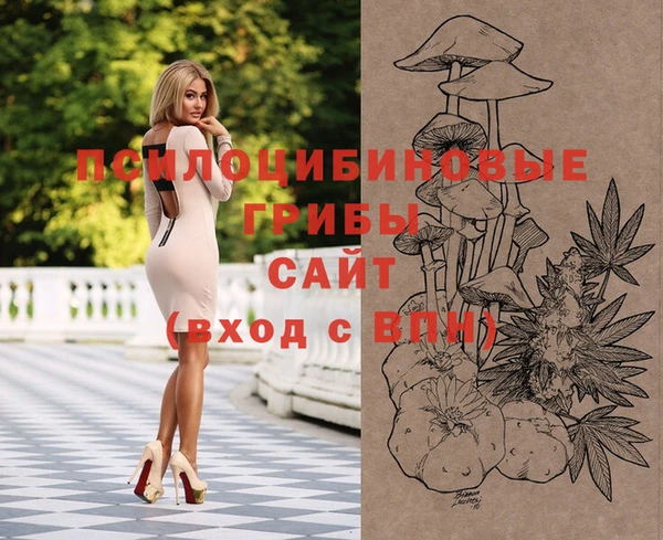 спайс Щучье