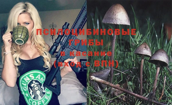 стаф Зерноград