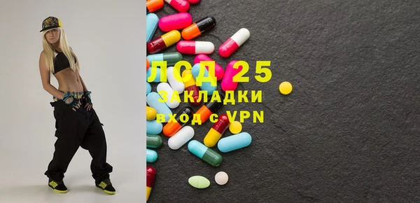 стаф Зерноград