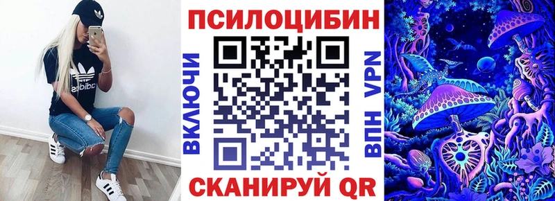 Псилоцибиновые грибы Psilocybine cubensis Нижний Тагил