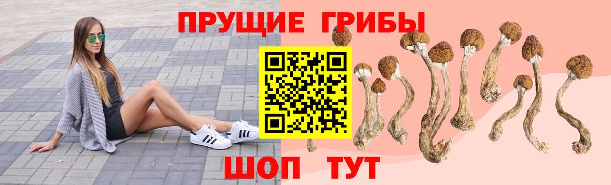 Псилоцибиновые грибы Magic Shrooms  купить наркотики сайты  Нижний Тагил  Псилоцибиновые грибы прущие грибы  Вход с VPN 